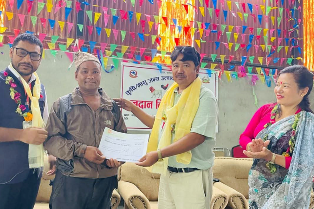 उत्तरी गोरखाको धार्चे गाउँपालिकाले मासु उत्पादक किसानलाई नगद अनुदान वितरण गर्‍यो