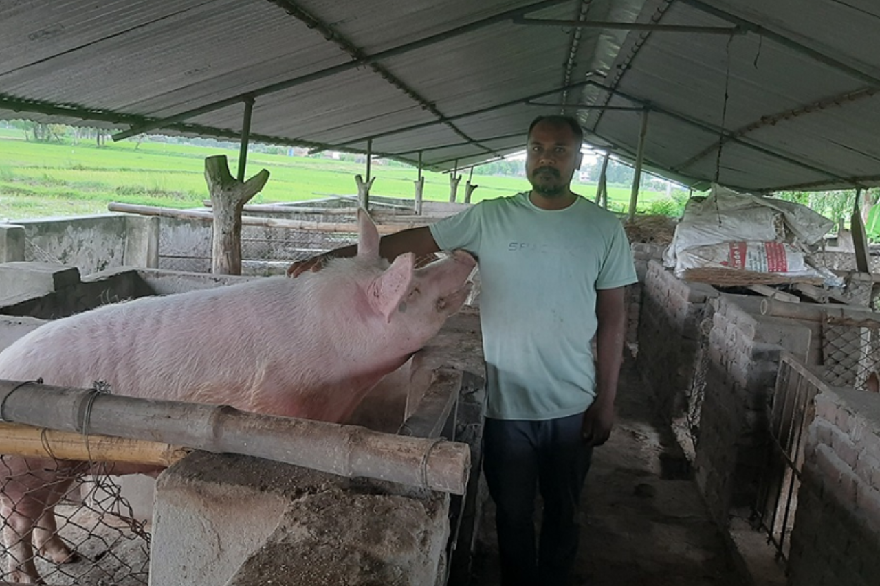 कैलालीका परशुनारायण चौधरी: बङ्गुरपालनबाट वार्षिक १२ लाख आम्दानी