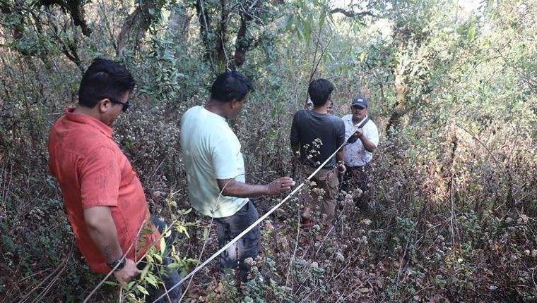 तनहुँको छिम्केश्वरीमा मोनोरेलको सम्भाव्यता अध्ययन सुरु