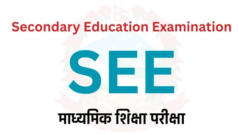एसईई दिएर बसेका विद्यार्थीलाई ब्रोडवे इन्फोसिसको अफर: आईटी कोर्समा २४% छुट!