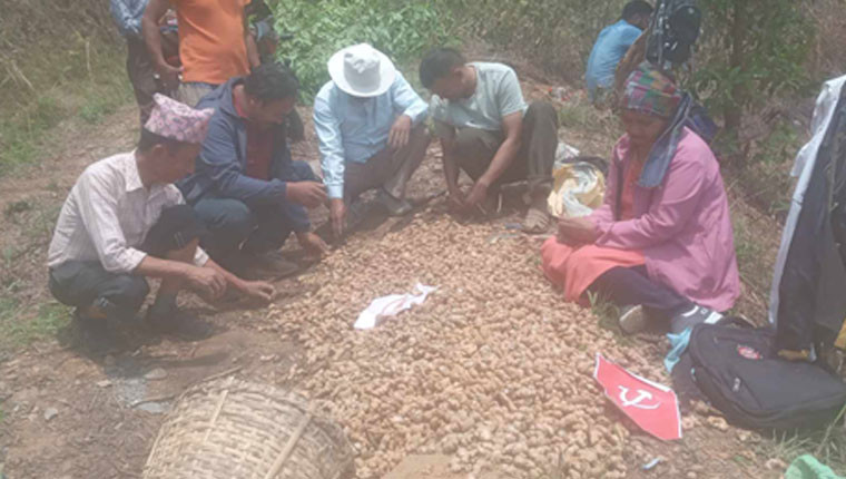 तनहुँमा अखिल ट्रेड युनियन महासङ्घद्वारा अदुवाखेती सुरु, ५० रोपनीमा खेती विस्तार गर्ने लक्ष्य