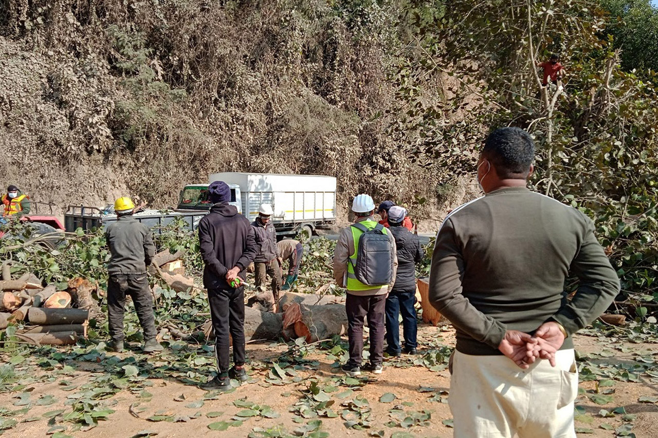 कर्णालीलाई लुम्बिनी र सुदूरपश्चिमसँग जोड्ने सडकका रुख कटान प्रक्रिया अघि बढ्यो